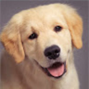 Meet your Posher, Paulina